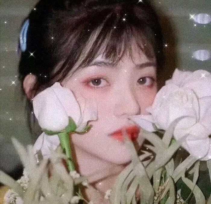 脱单宝典